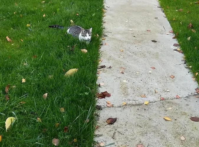 La Grange Du Layon *